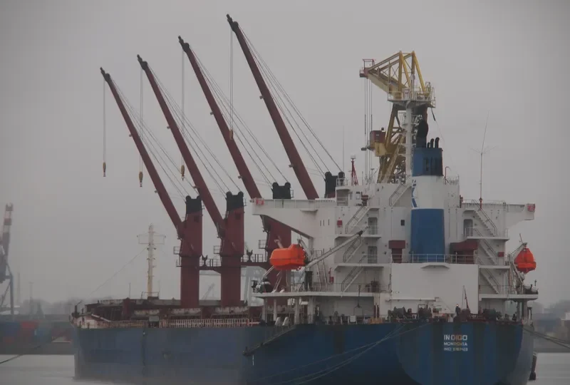 TONG DE 188 Bulk Carrier IMO 9267429 photo 10