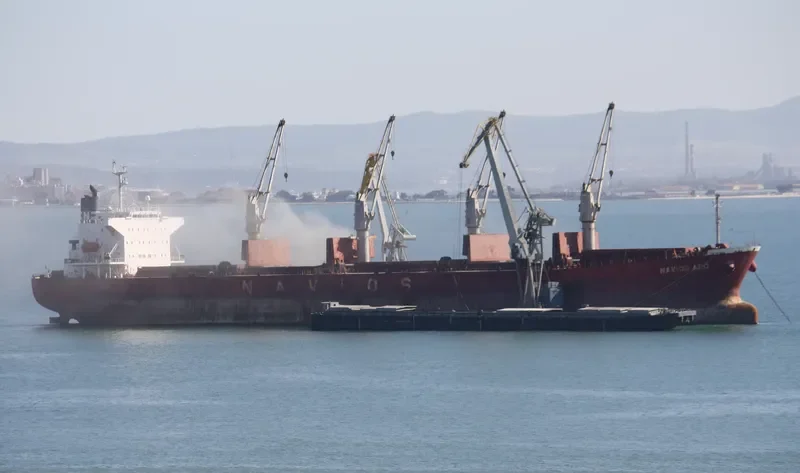 UNITAMA LILY Bulk Carrier IMO 9267431