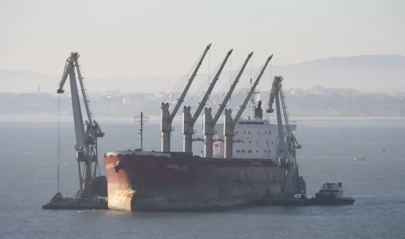 UNITAMA LILY Bulk Carrier IMO 9267431 photo 2