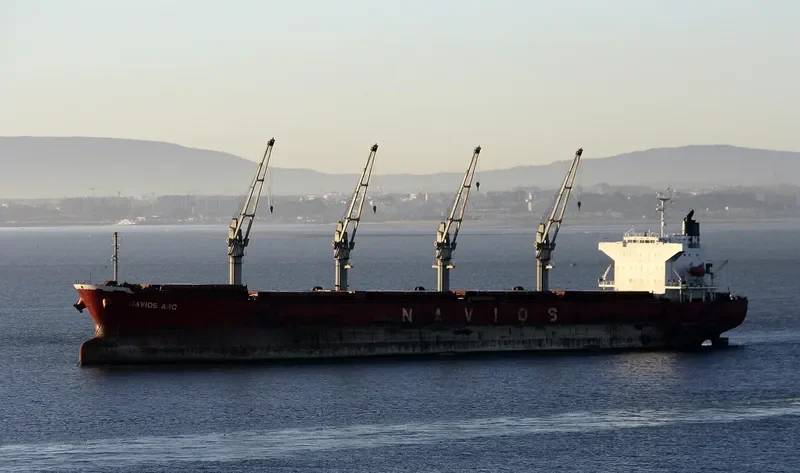 UNITAMA LILY Bulk Carrier IMO 9267431 photo 3
