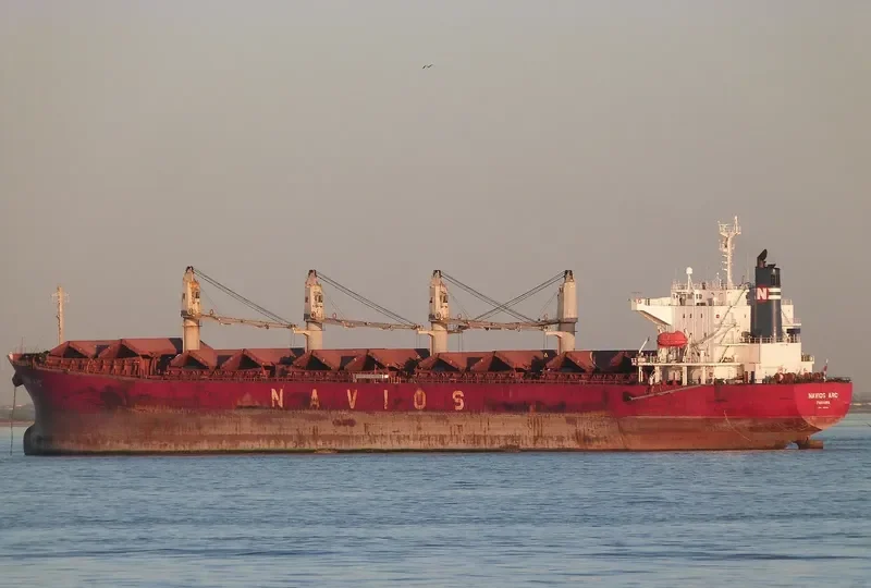 UNITAMA LILY Bulk Carrier IMO 9267431 photo 4