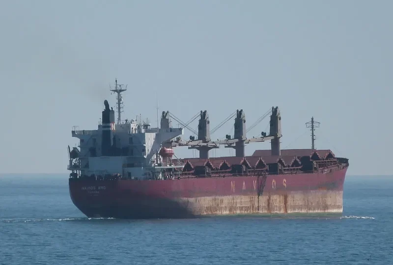 UNITAMA LILY Bulk Carrier IMO 9267431 photo 5
