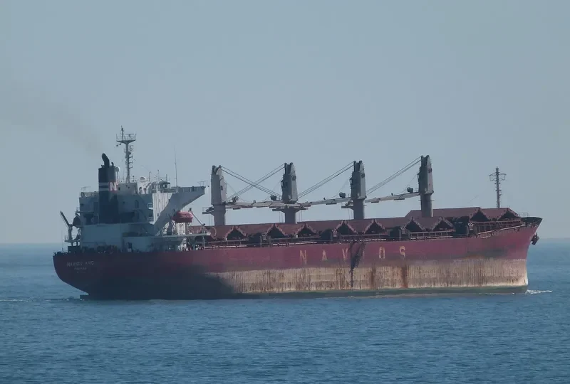 UNITAMA LILY Bulk Carrier IMO 9267431 photo 6