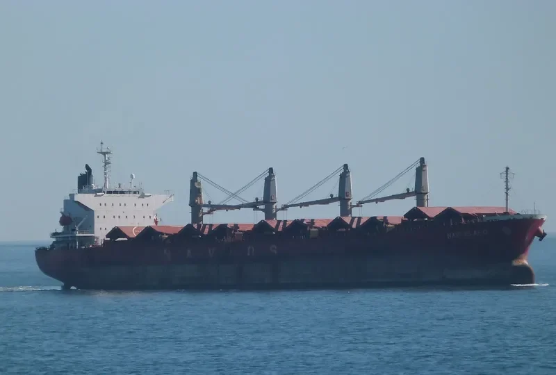 UNITAMA LILY Bulk Carrier IMO 9267431 photo 8
