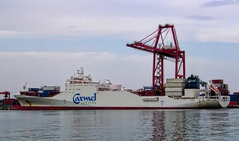 SINA General Cargo IMO 9267546