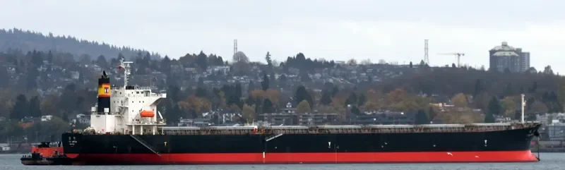 CHOLA VIRTUE Bulk Carrier IMO 9267601 photo 2