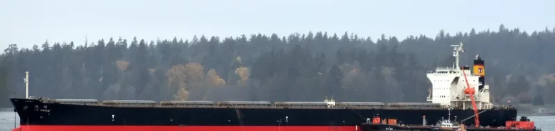 CHOLA VIRTUE Bulk Carrier IMO 9267601 photo 4