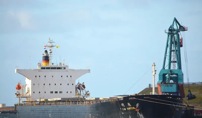 CHOLA VIRTUE Bulk Carrier IMO 9267601 photo 7