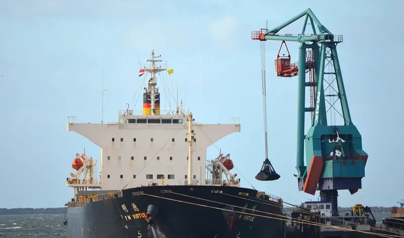 CHOLA VIRTUE Bulk Carrier IMO 9267601 photo 8