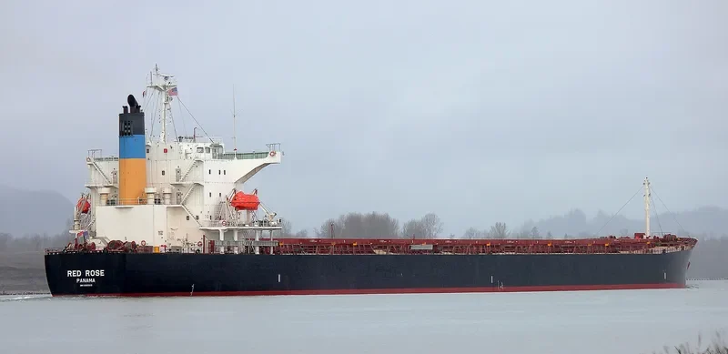 LUCKY HARMONY Bulk Carrier IMO 9267613