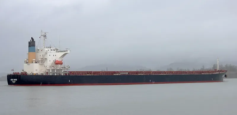 LUCKY HARMONY Bulk Carrier IMO 9267613 photo 2