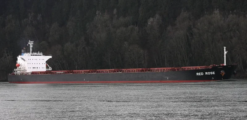LUCKY HARMONY Bulk Carrier IMO 9267613 photo 3
