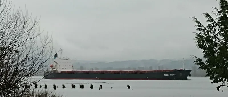 LUCKY HARMONY Bulk Carrier IMO 9267613 photo 4