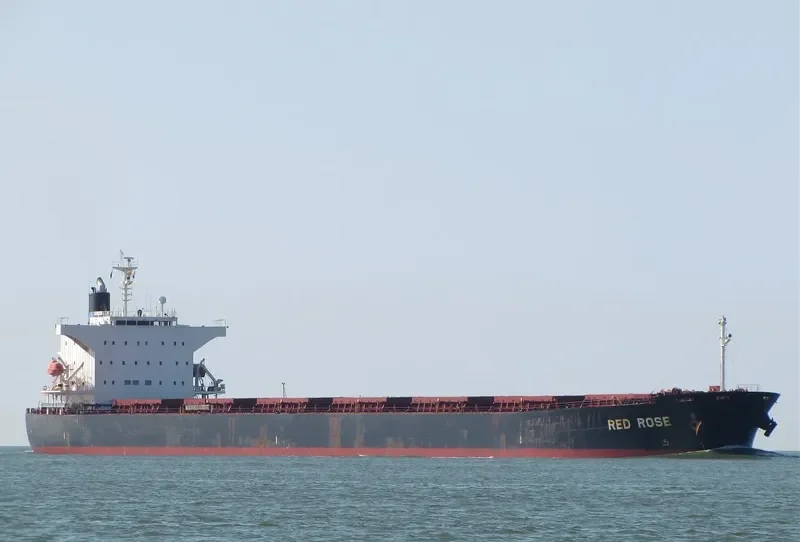 LUCKY HARMONY Bulk Carrier IMO 9267613 photo 5