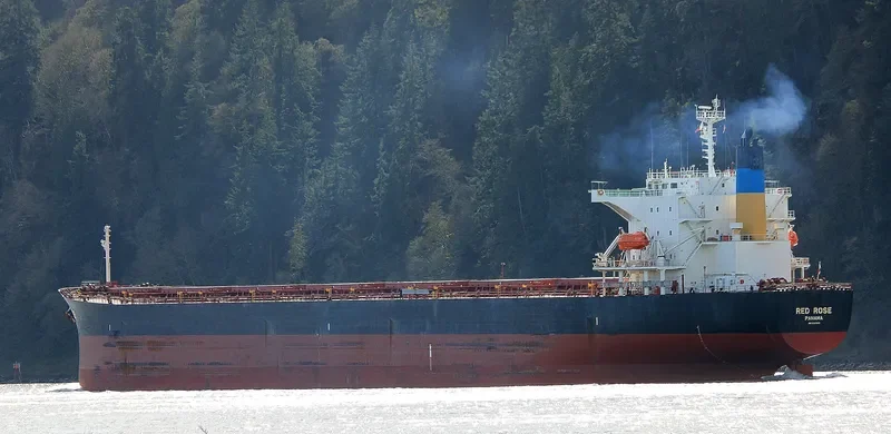 LUCKY HARMONY Bulk Carrier IMO 9267613 photo 6