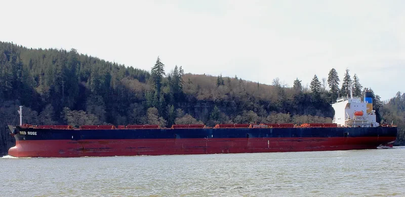 LUCKY HARMONY Bulk Carrier IMO 9267613 photo 7