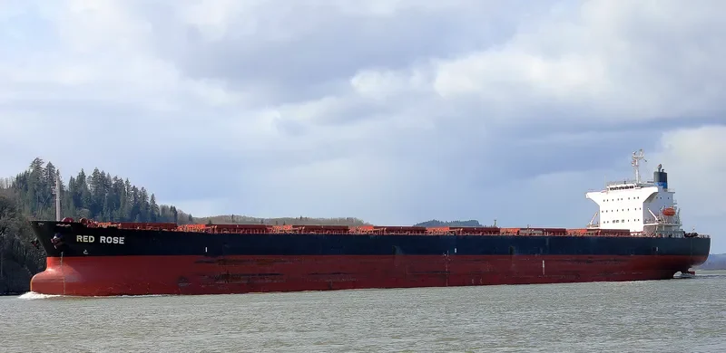 LUCKY HARMONY Bulk Carrier IMO 9267613 photo 8
