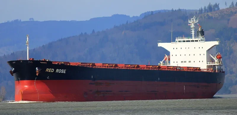 LUCKY HARMONY Bulk Carrier IMO 9267613 photo 9