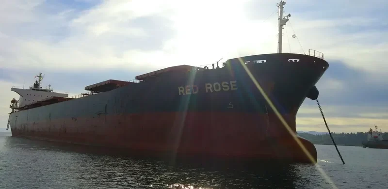 LUCKY HARMONY Bulk Carrier IMO 9267613 photo 10