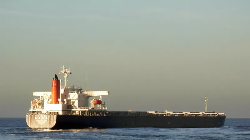 TOKIWA MARU Bulk Carrier IMO 9267625 photo 2