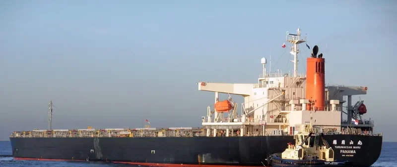TOKIWA MARU Bulk Carrier IMO 9267625 photo 3