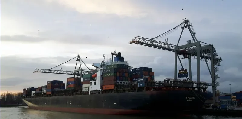 MSC PEGASUS Container Ship IMO 9267637 photo 3