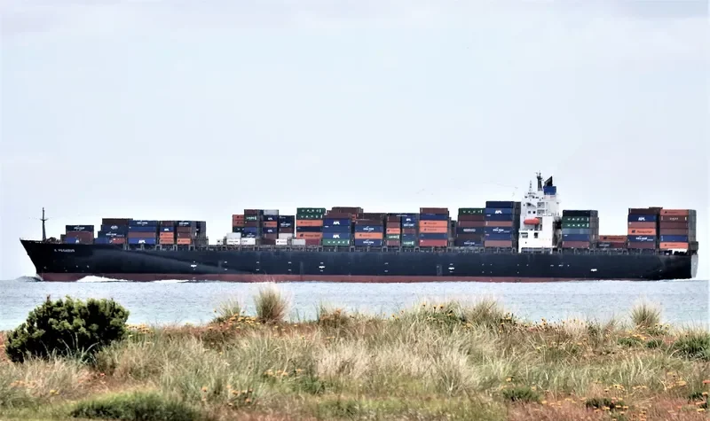 MSC PEGASUS Container Ship IMO 9267637 photo 6