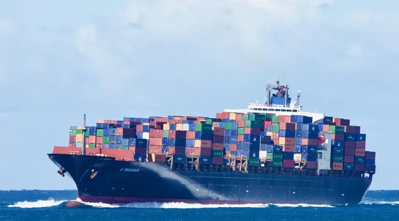 MSC PEGASUS Container Ship IMO 9267637 photo 8
