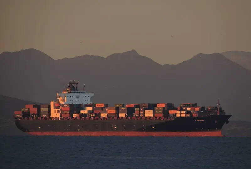 MSC PHOENIX Container Ship IMO 9267649