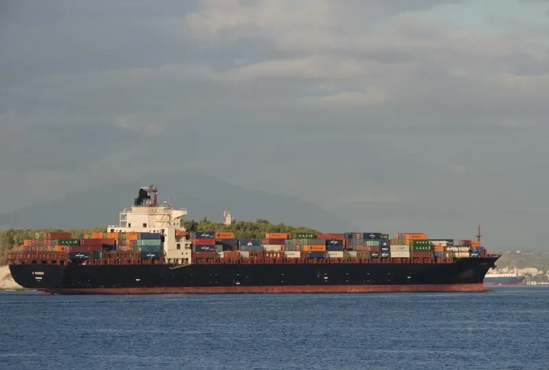 MSC PHOENIX Container Ship IMO 9267649 photo 3