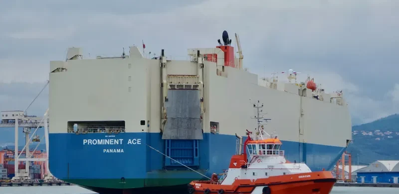 PROMINENT ACE General Cargo IMO 9267699 photo 5