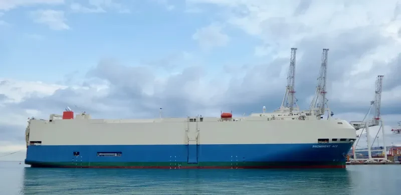 PROMINENT ACE General Cargo IMO 9267699 photo 7