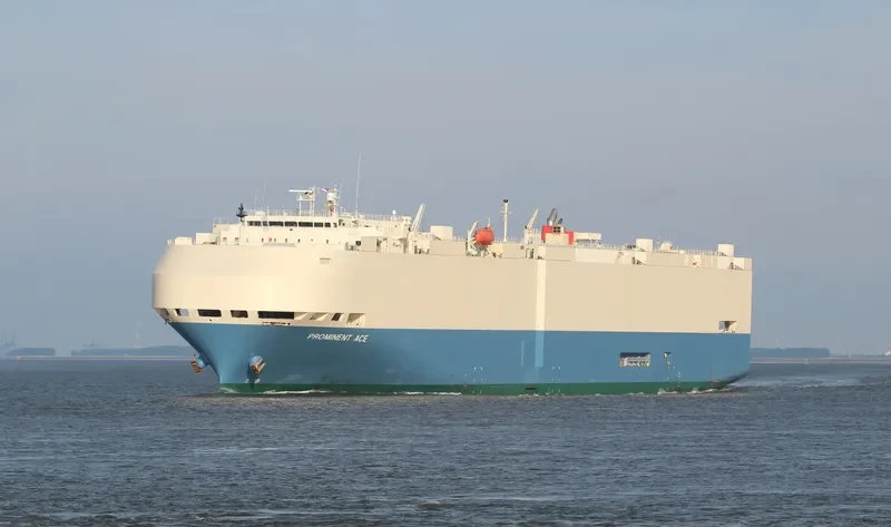 PROMINENT ACE General Cargo IMO 9267699 photo 8