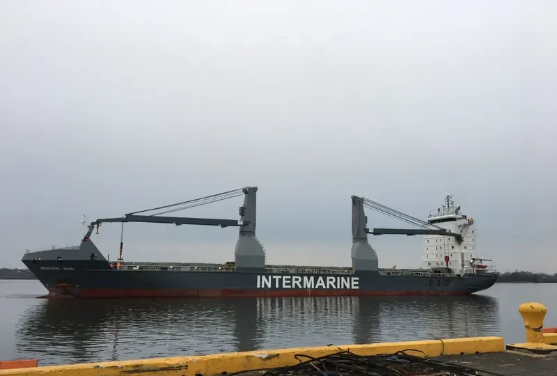 INDUSTRIAL ROYAL General Cargo IMO 9267754 photo 3