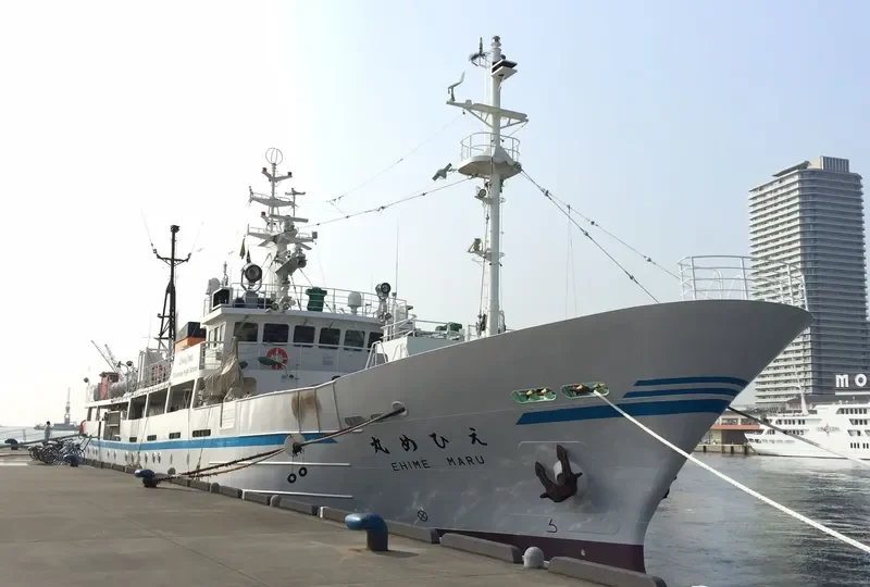 EHIME MARU General Cargo IMO 9267845 photo 6