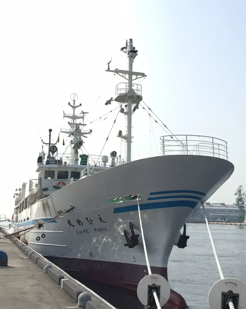 EHIME MARU General Cargo IMO 9267845 photo 7