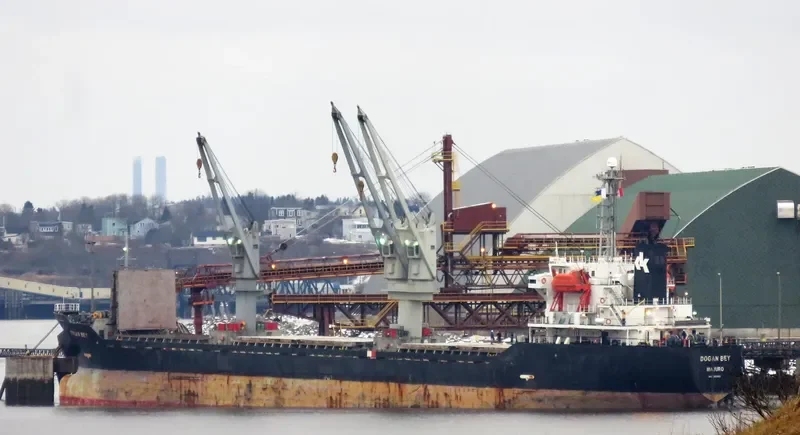 PIONEER ELITE Bulk Carrier IMO 9267857
