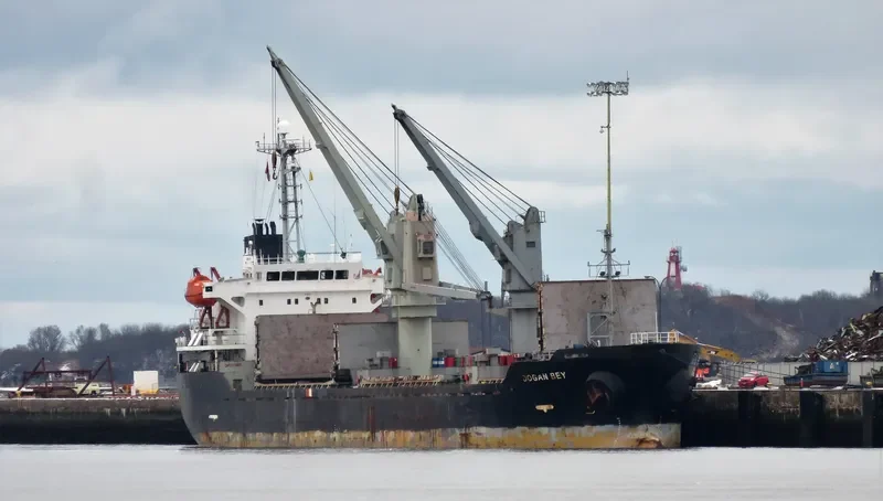 PIONEER ELITE Bulk Carrier IMO 9267857 photo 2