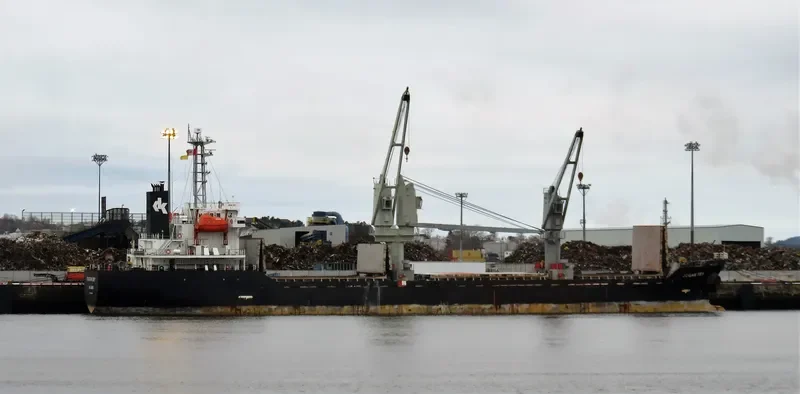 PIONEER ELITE Bulk Carrier IMO 9267857 photo 3