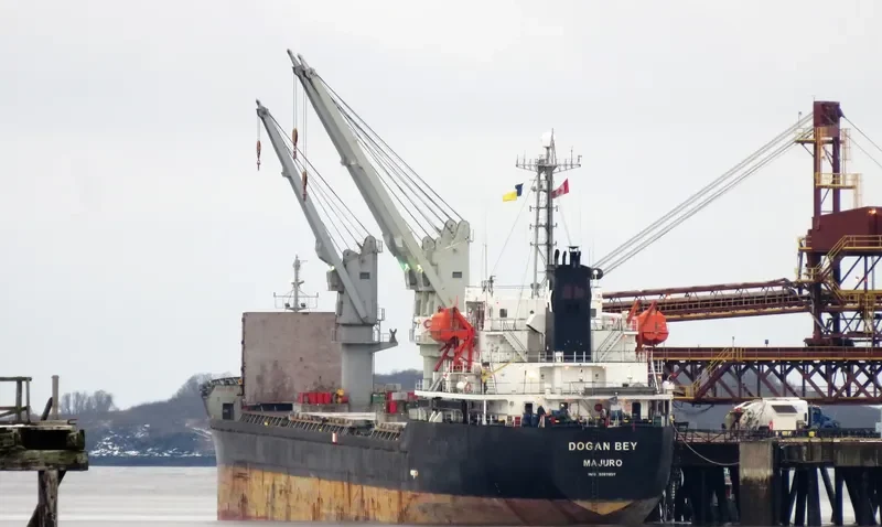 PIONEER ELITE Bulk Carrier IMO 9267857 photo 4