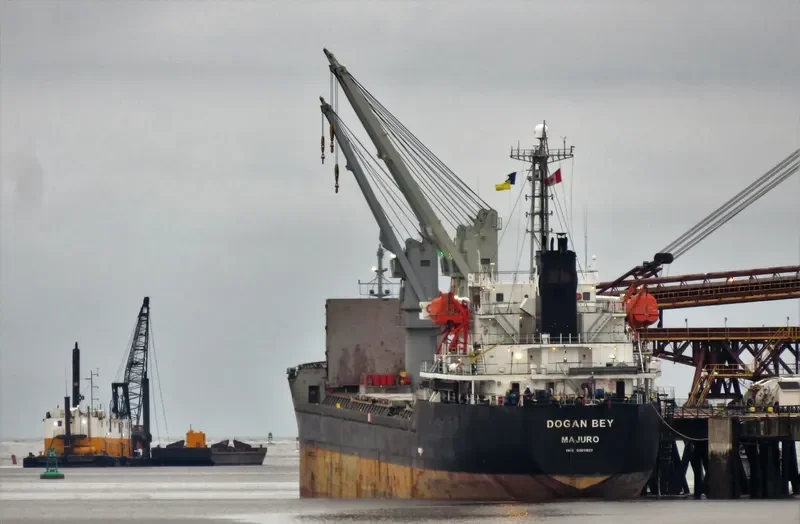 PIONEER ELITE Bulk Carrier IMO 9267857 photo 5
