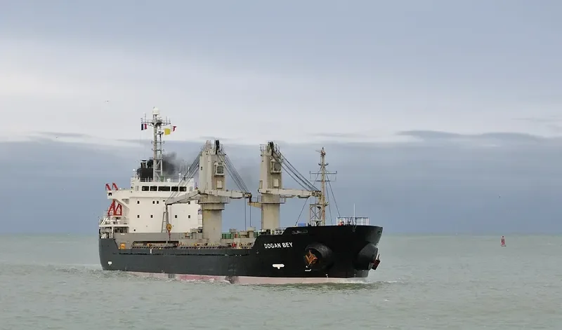 PIONEER ELITE Bulk Carrier IMO 9267857 photo 6