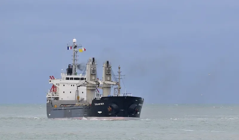 PIONEER ELITE Bulk Carrier IMO 9267857 photo 7