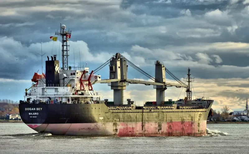 PIONEER ELITE Bulk Carrier IMO 9267857 photo 8