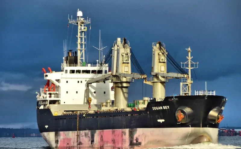PIONEER ELITE Bulk Carrier IMO 9267857 photo 9