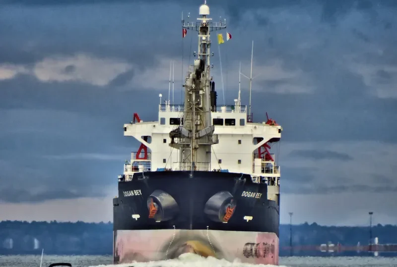 PIONEER ELITE Bulk Carrier IMO 9267857 photo 10