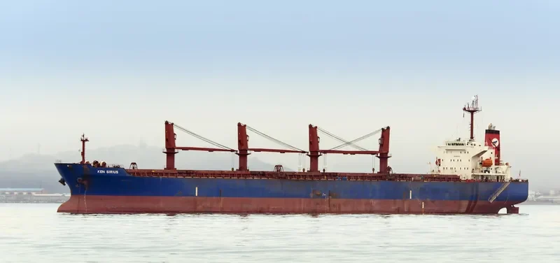 PRINCESS BOA Bulk Carrier IMO 9267900 photo 2