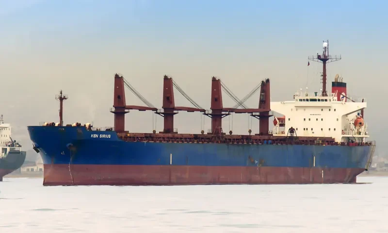 PRINCESS BOA Bulk Carrier IMO 9267900 photo 6