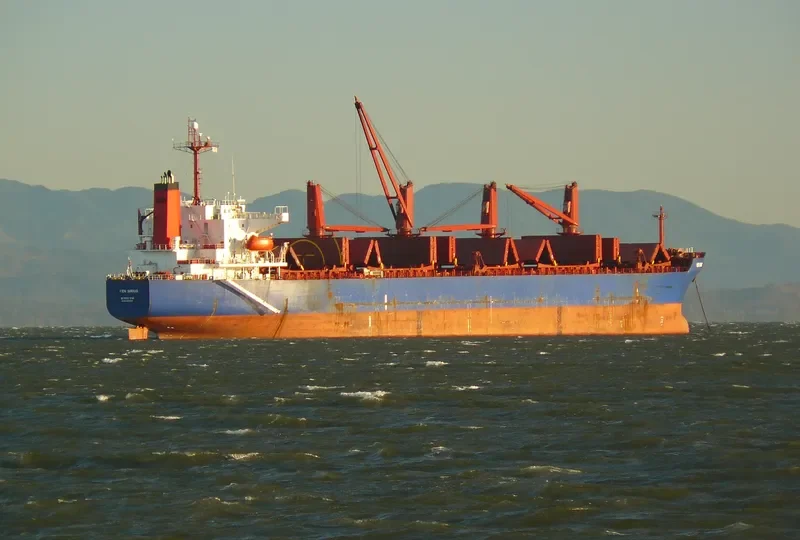 PRINCESS BOA Bulk Carrier IMO 9267900 photo 10