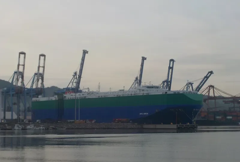 ONYX ARROW General Cargo IMO 9267924 photo 2